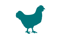 select chickens as species
