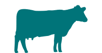 select cows as species