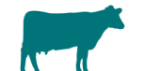 select cows as species