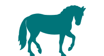 select horses as species