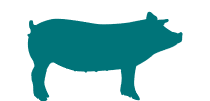 select pigs as species
