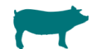 select pigs as species