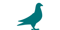 select pigeons as species