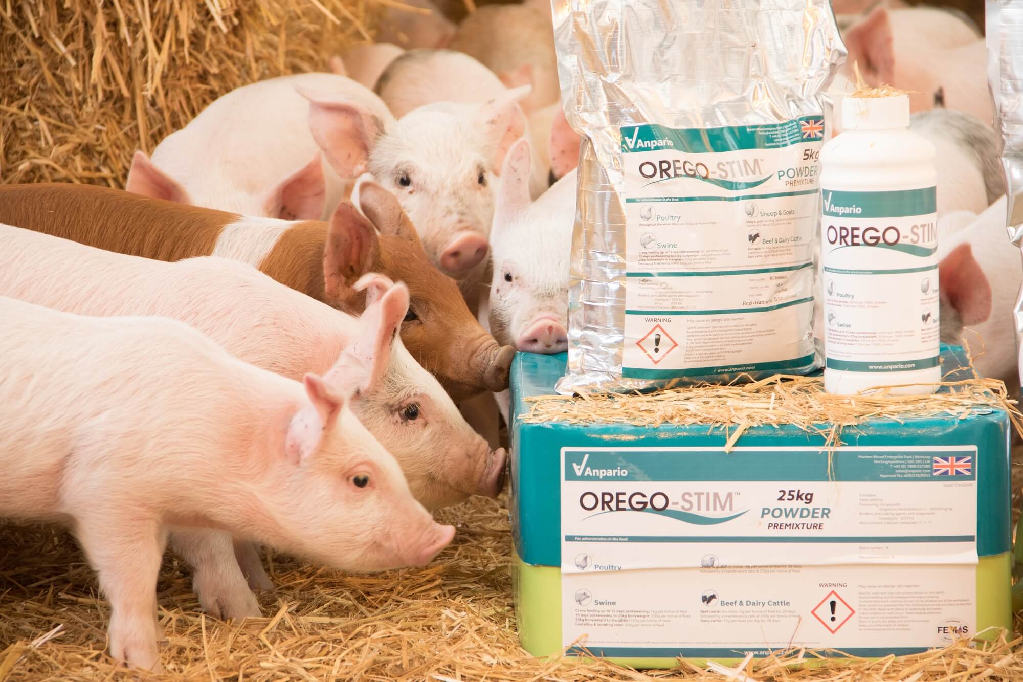 Orego-Stim for Pigs