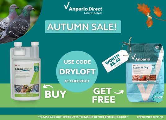Autumn offer - Orego-Stim Pigeon + Free Clean&Dry bag