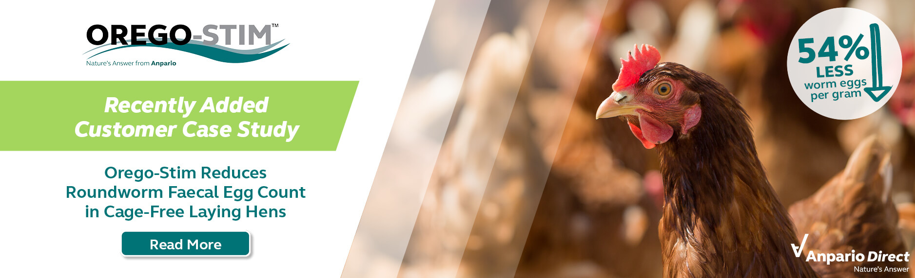 Orego-Stim Reduces Faecal Egg Count in Cage-Free Laying Hens