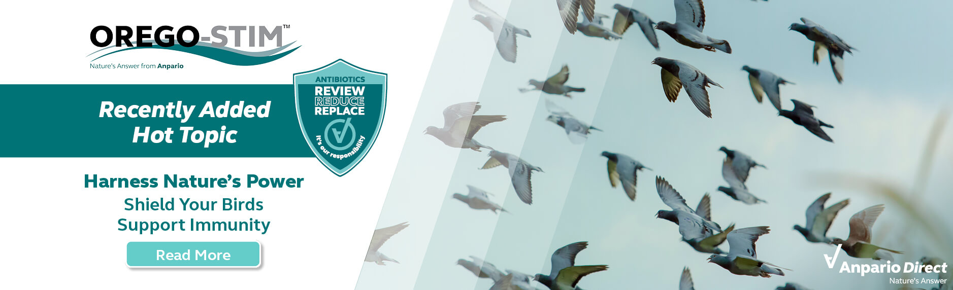 Orego-Stim - Nature's Answer - to Supporting Bird Immunity