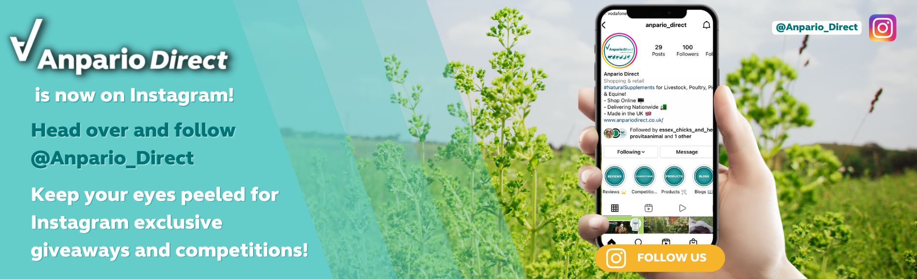 Follow Us On Instagram