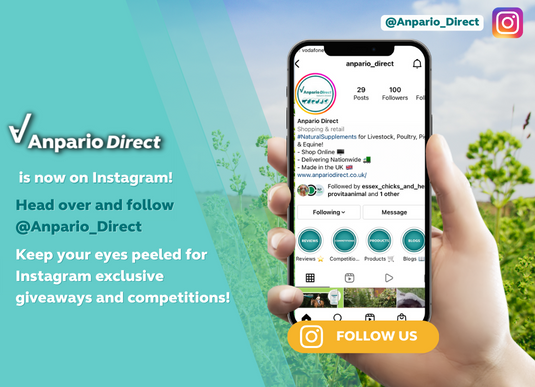 Follow Us On Instagram