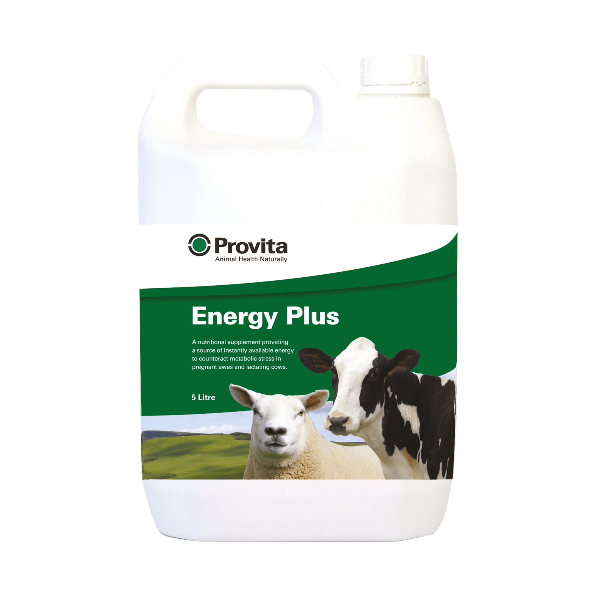 Buy Provita Energy Plus for Ewes & Cattle Anpario Direct