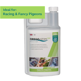 Orego-Stim Pigeon