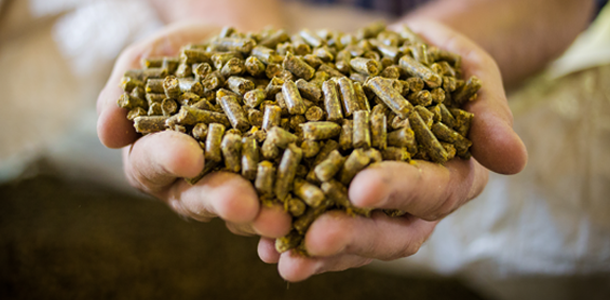 Feed and Water Hygiene & Quality