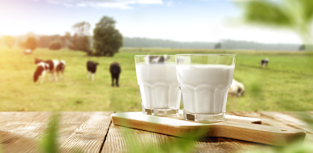 Omega-3 Supplements for Fertility, Lactation & Productivity