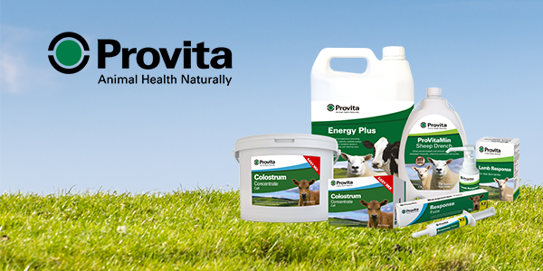 Provita 
