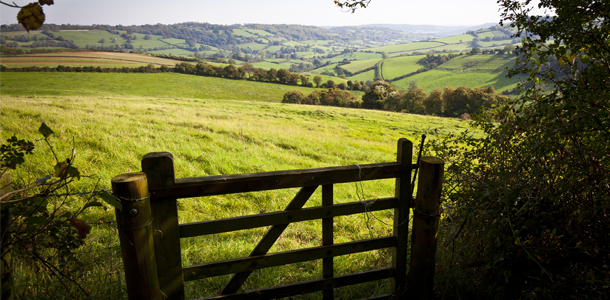 Natural Feed Additives for Smallholder
